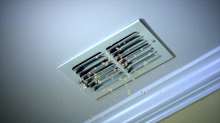 Best Air Duct Sanitizing Services  in El Macero, CA